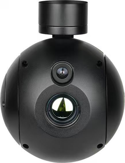 A619